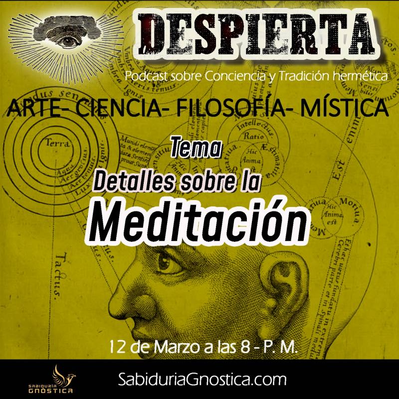 DESPIERTA