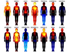 Las emociones negativas