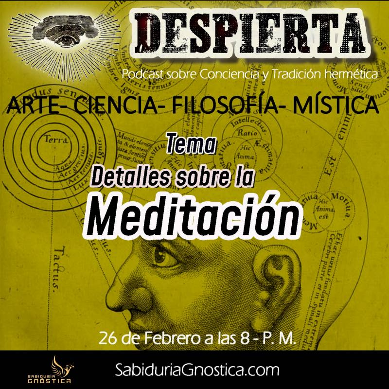 DESPIERTA