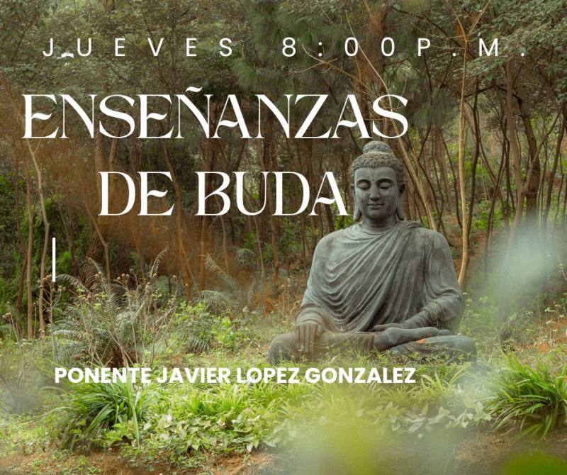 Ciencia de la conciencia